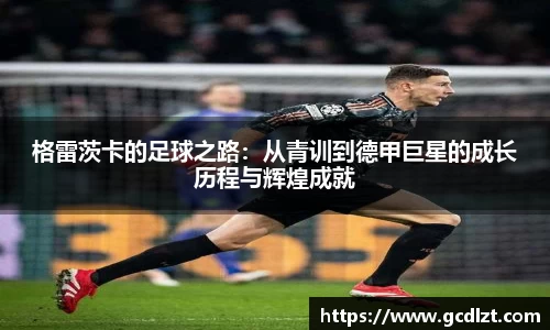 格雷茨卡的足球之路：从青训到德甲巨星的成长历程与辉煌成就